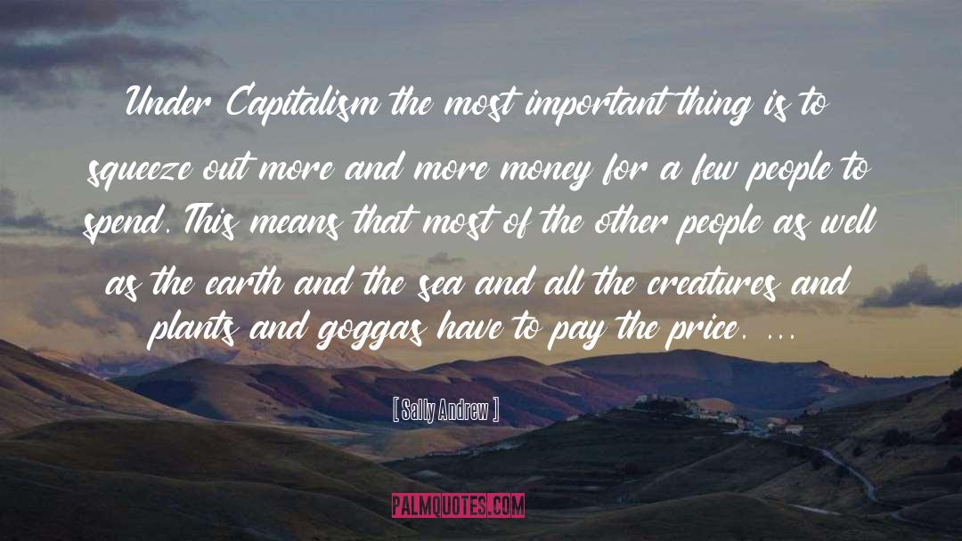 Sally Andrew Quotes: Under Capitalism the most important