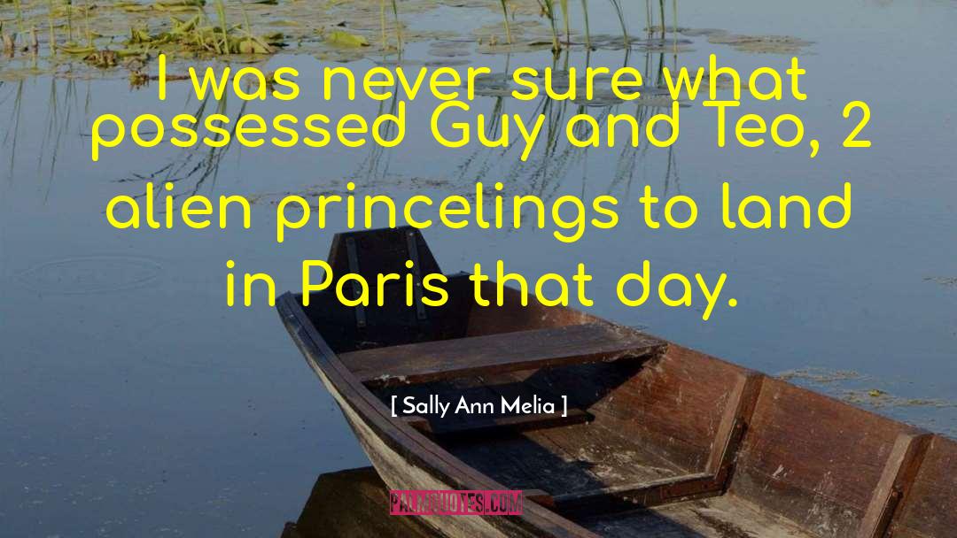 Sally Ann Melia Quotes: I was never sure what