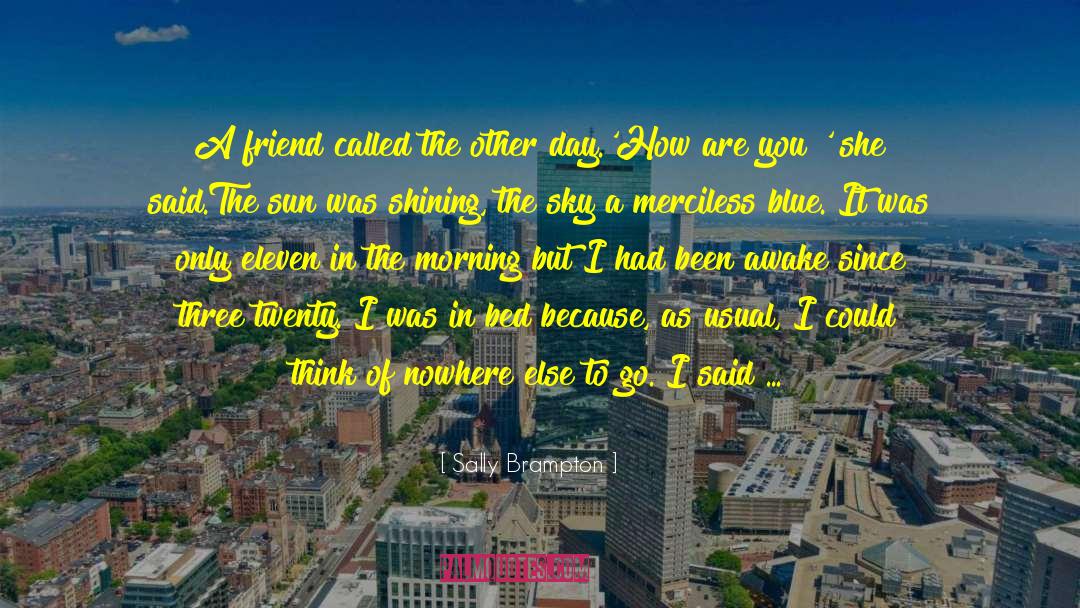 Sally Brampton Quotes: A friend called the other