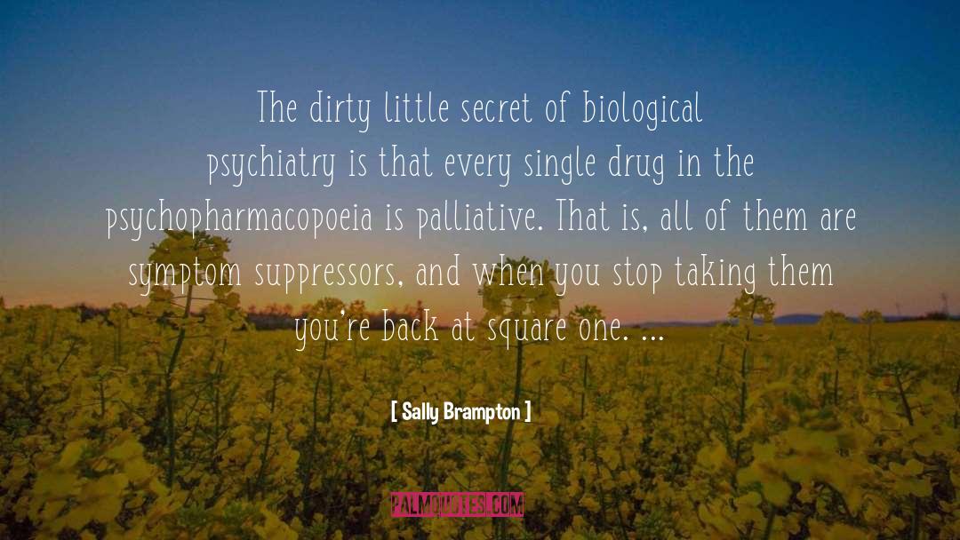 Sally Brampton Quotes: The dirty little secret of
