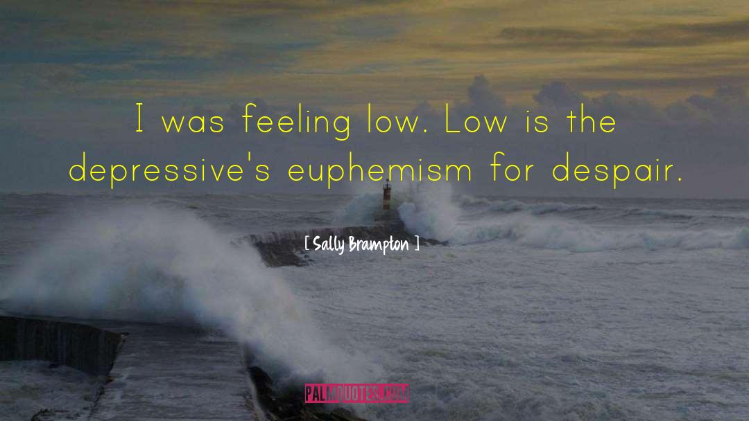Sally Brampton Quotes: I was feeling low. Low