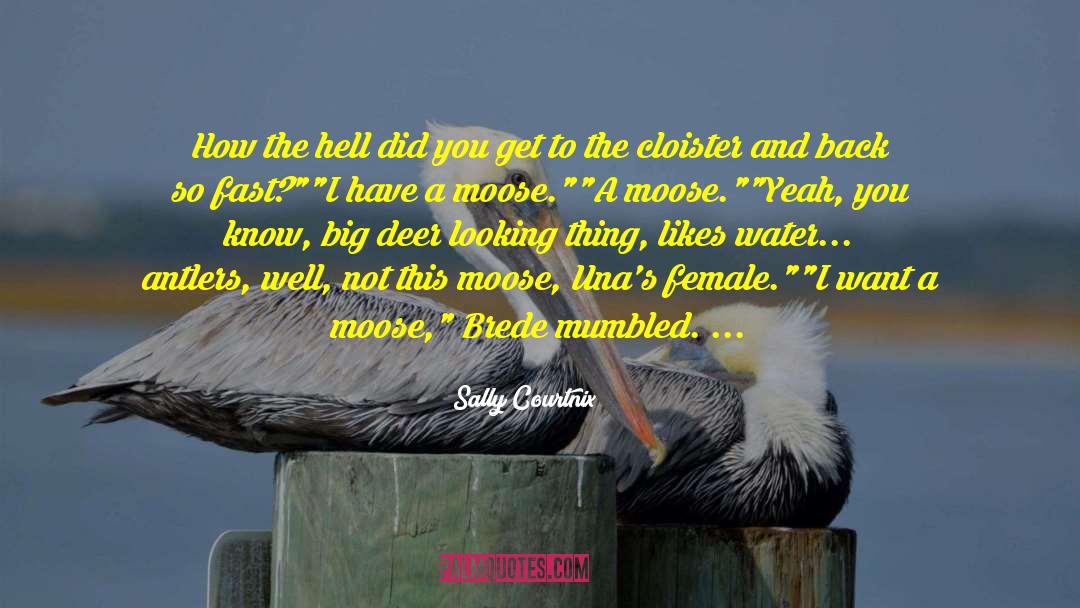 Sally Courtnix Quotes: How the hell did you