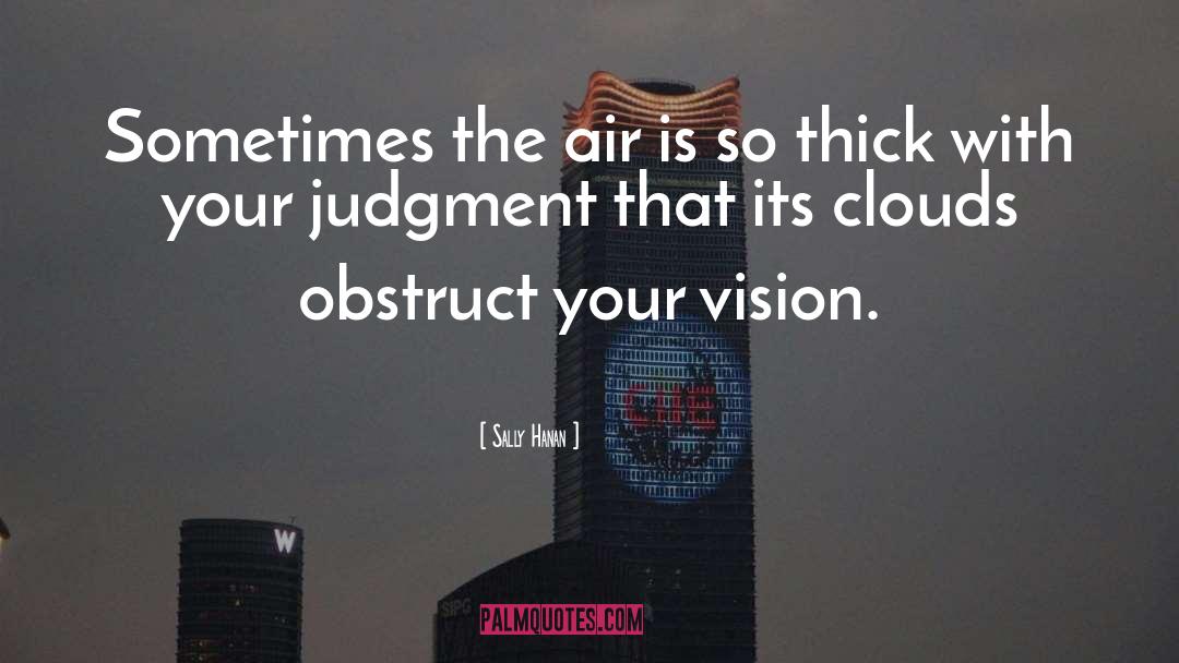 Sally Hanan Quotes: Sometimes the air is so