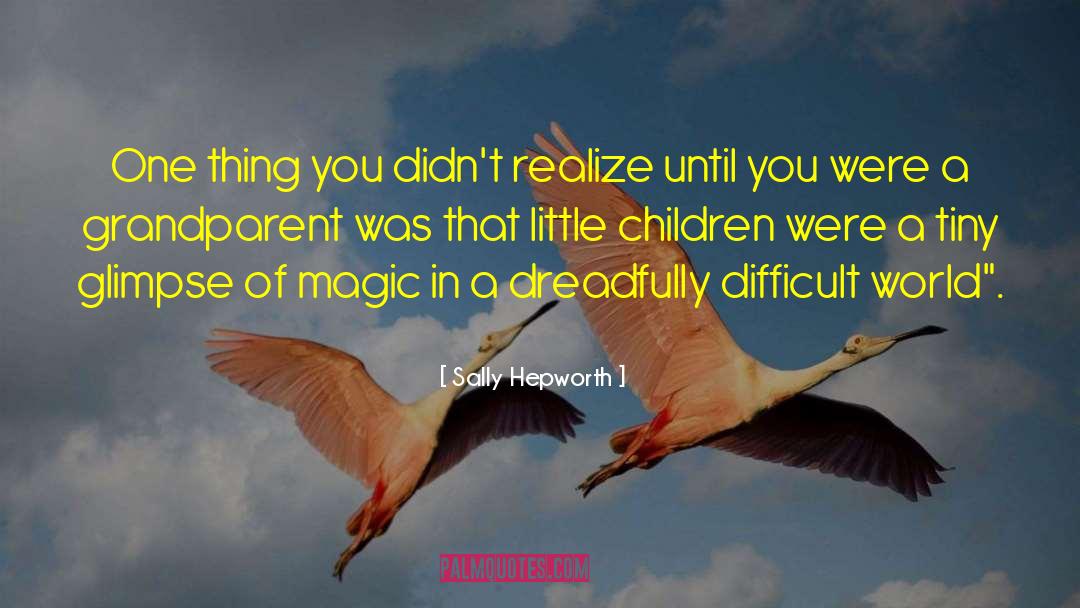 Sally Hepworth Quotes: One thing you didn't realize