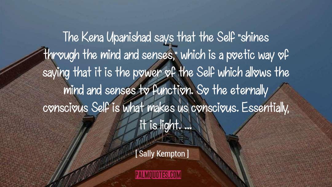 Sally Kempton Quotes: The Kena Upanishad says that