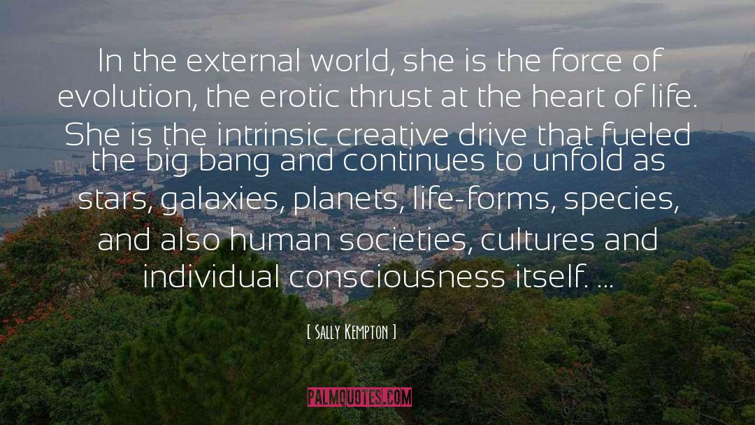 Sally Kempton Quotes: In the external world, she