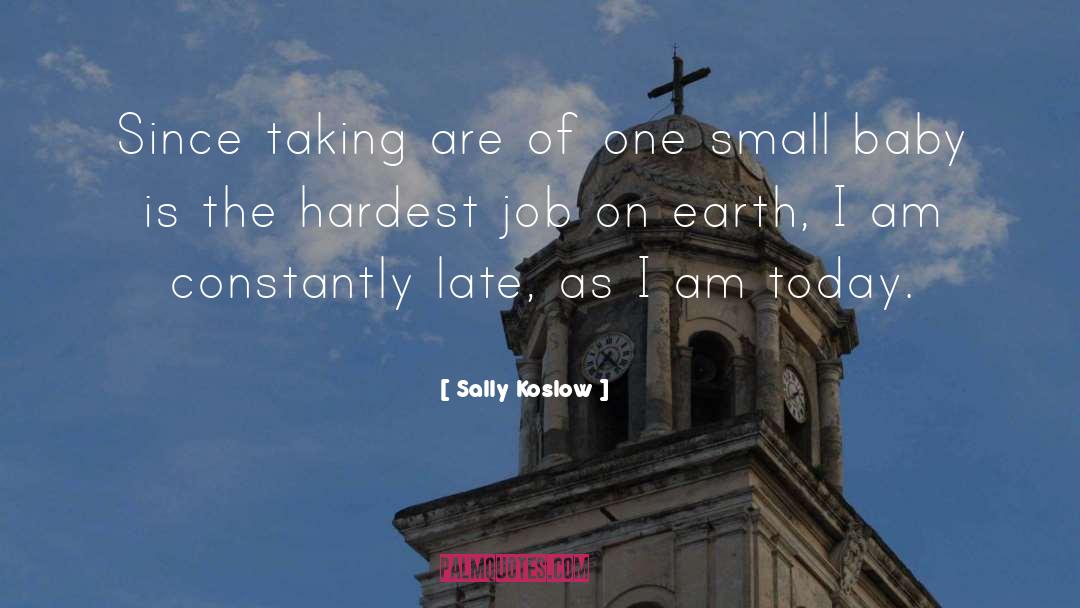 Sally Koslow Quotes: Since taking are of one