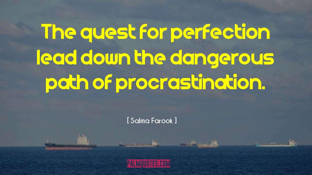 Salma Farook Quotes: The quest for perfection lead