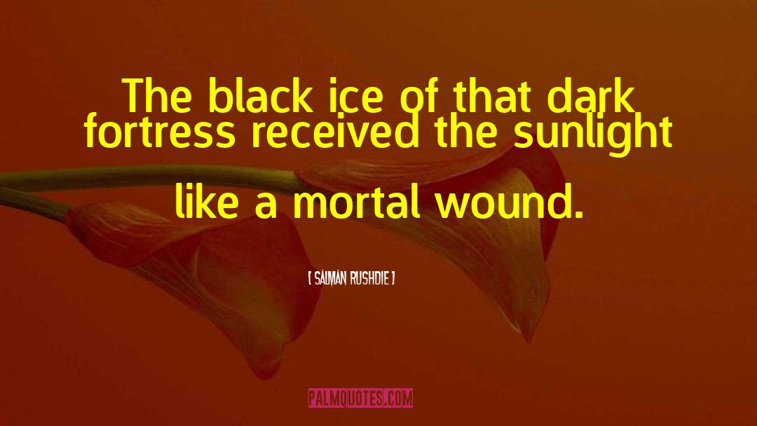 Salman Rushdie Quotes: The black ice of that