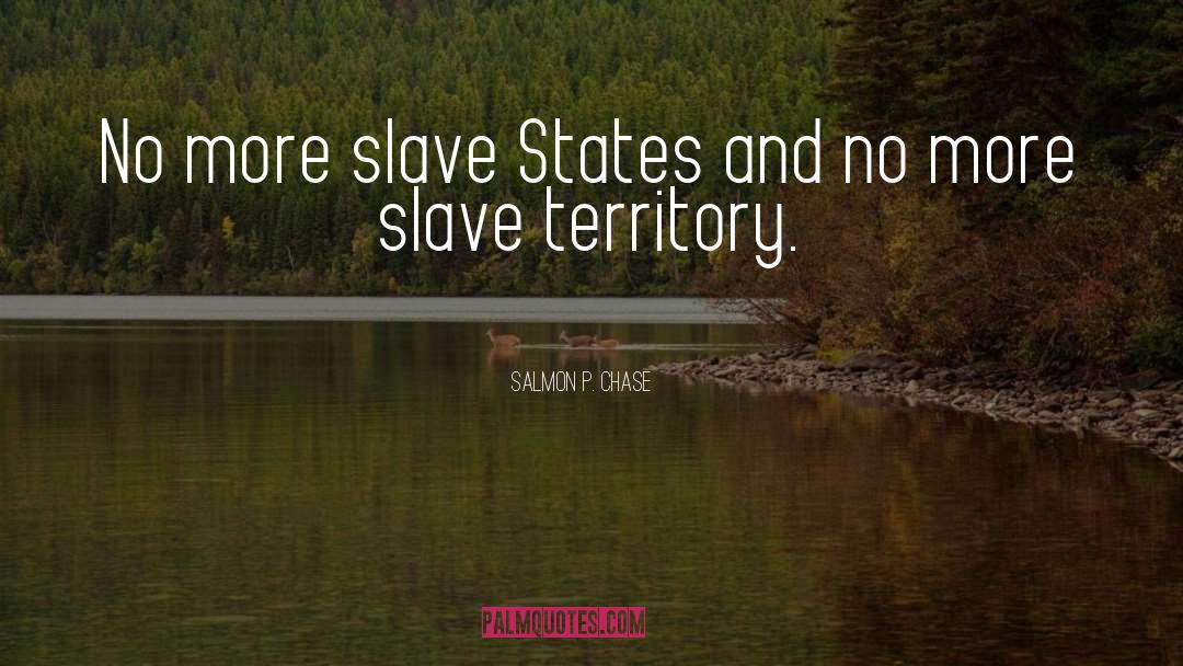 Salmon P. Chase Quotes: No more slave States and