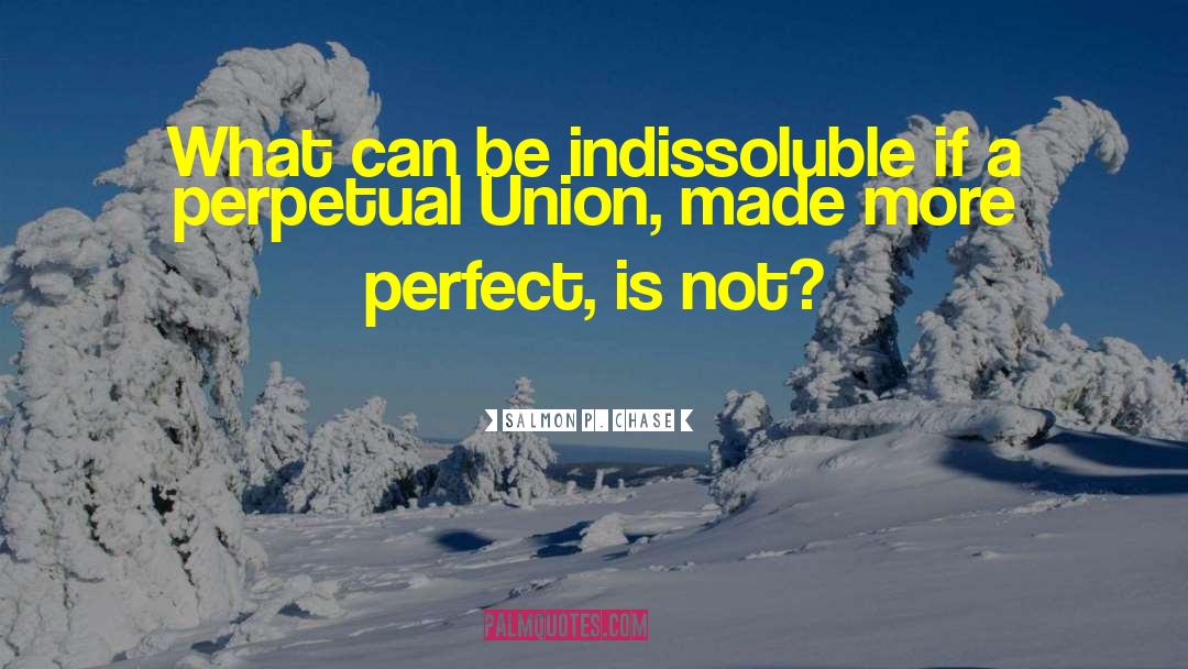 Salmon P. Chase Quotes: What can be indissoluble if