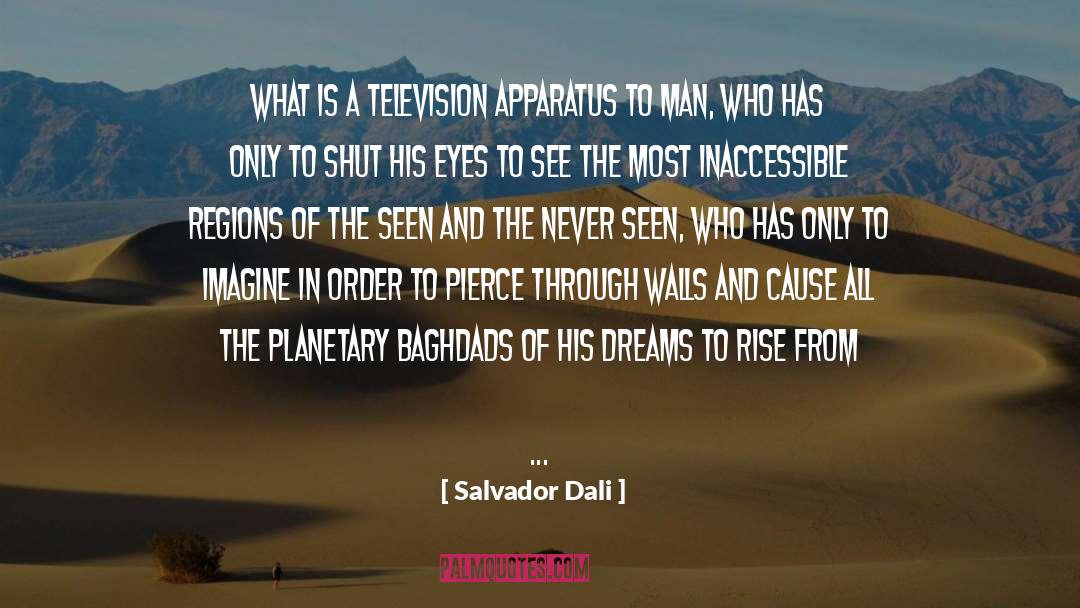 Salvador Dali Quotes: What is a television apparatus