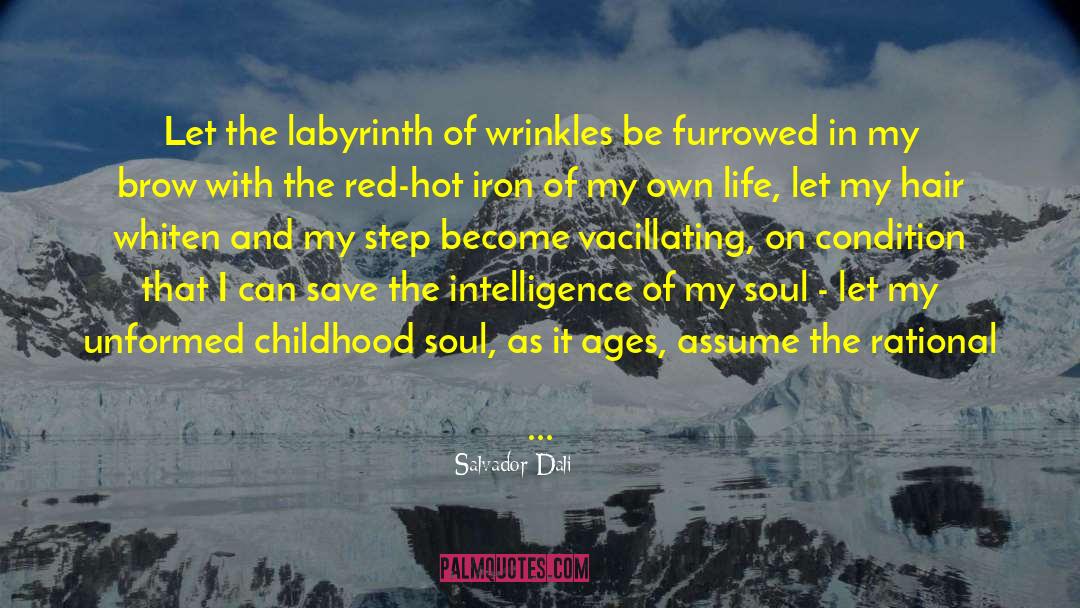 Salvador Dali Quotes: Let the labyrinth of wrinkles