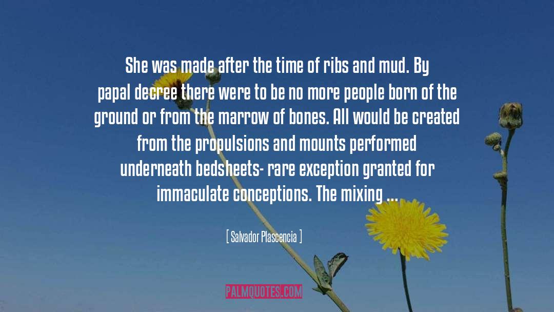 Salvador Plascencia Quotes: She was made after the