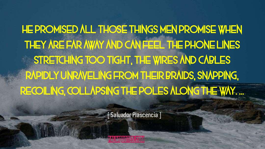 Salvador Plascencia Quotes: He promised all those things