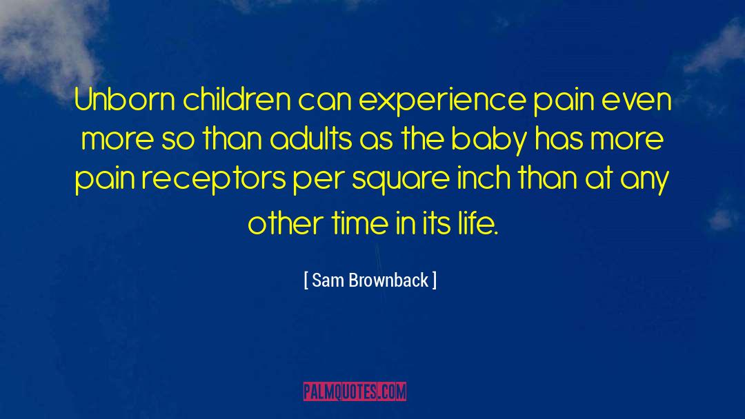 Sam Brownback Quotes: Unborn children can experience pain