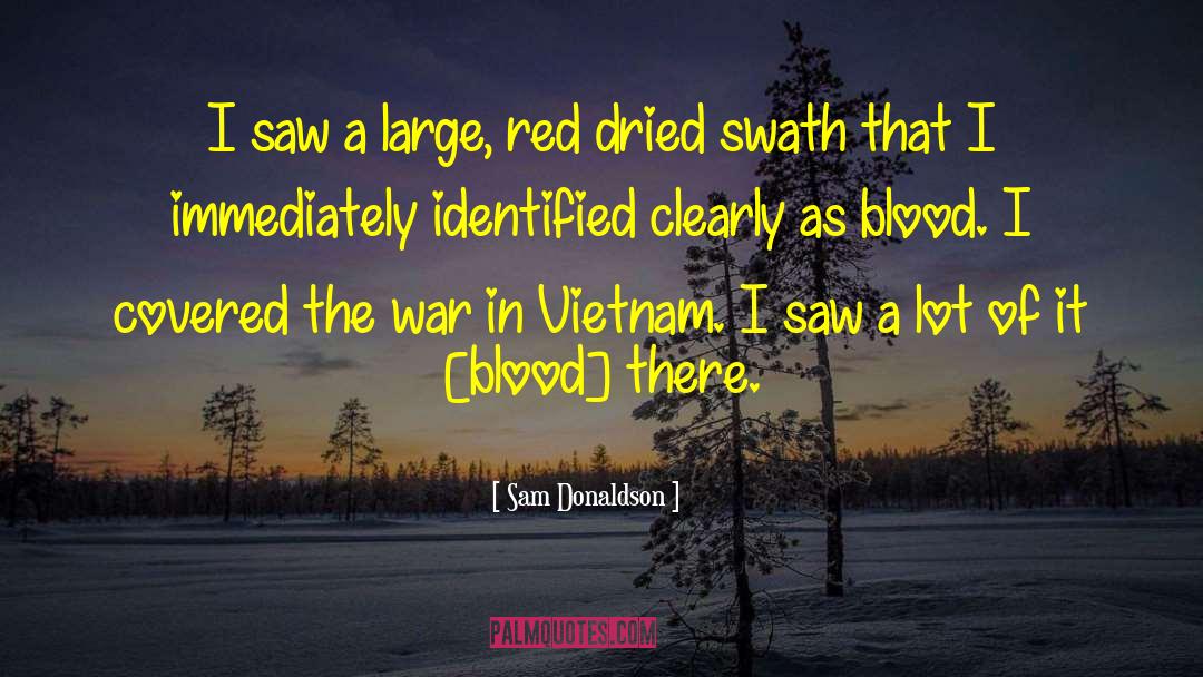 Sam Donaldson Quotes: I saw a large, red