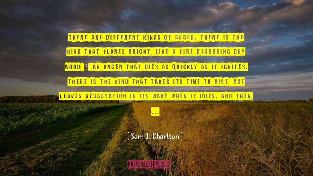 Sam J. Charlton Quotes: There are different kinds of