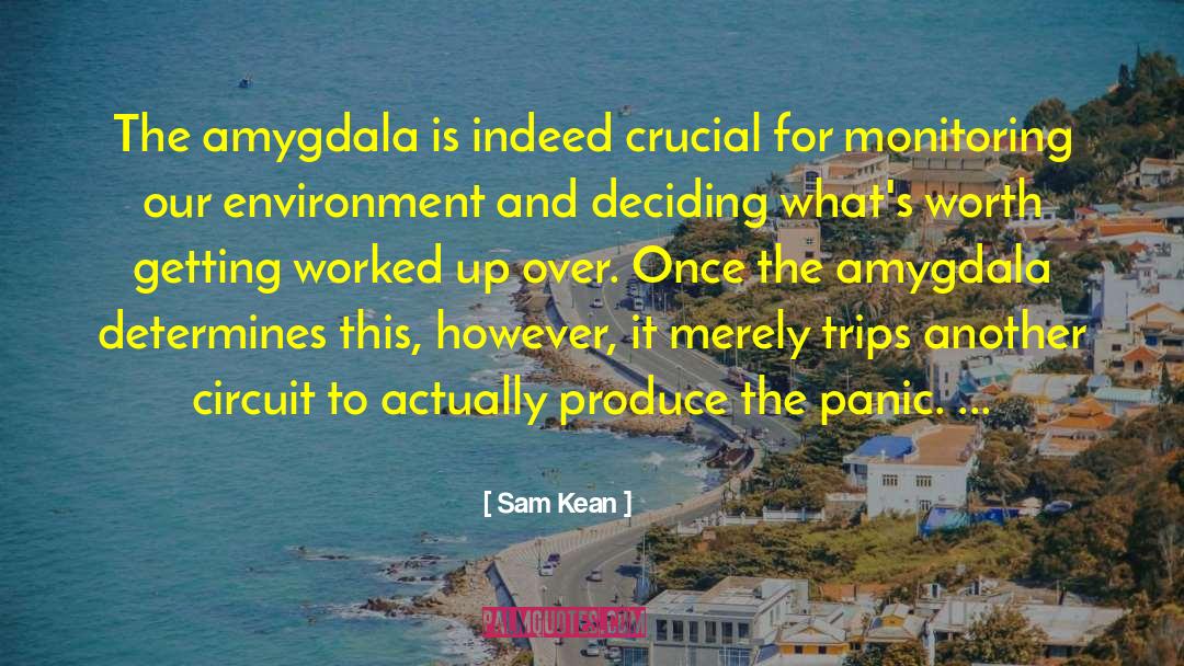 Sam Kean Quotes: The amygdala is indeed crucial