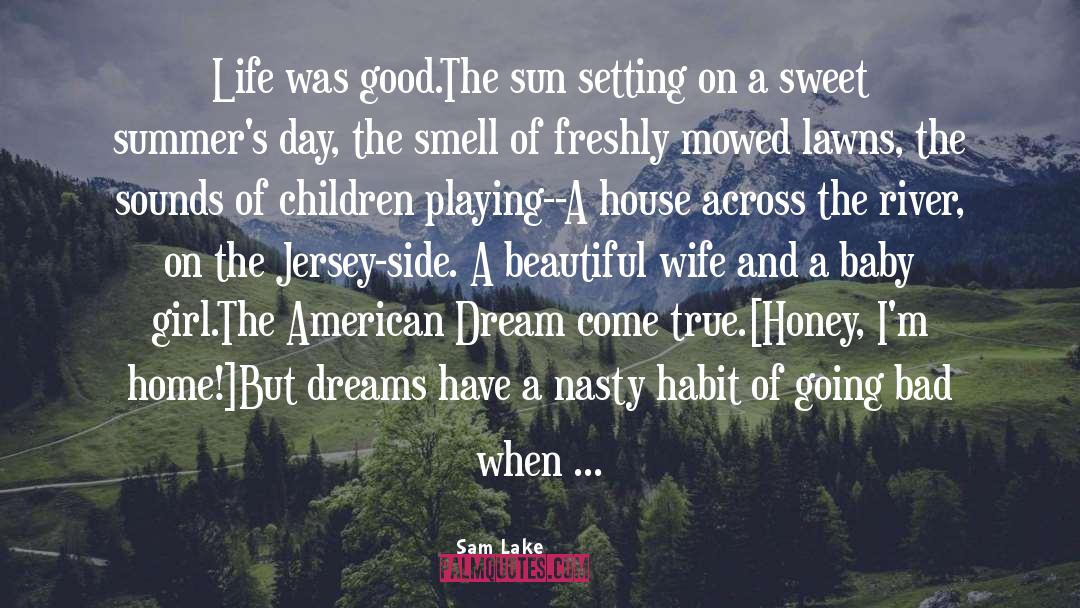 Sam Lake Quotes: Life was good.<br />The sun