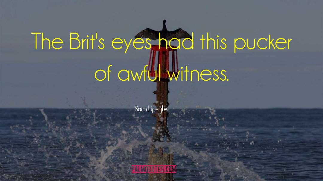 Sam Lipsyte Quotes: The Brit's eyes had this