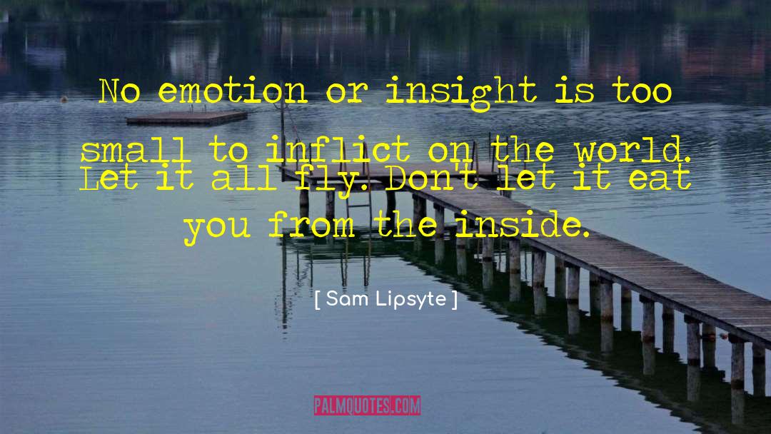 Sam Lipsyte Quotes: No emotion or insight is