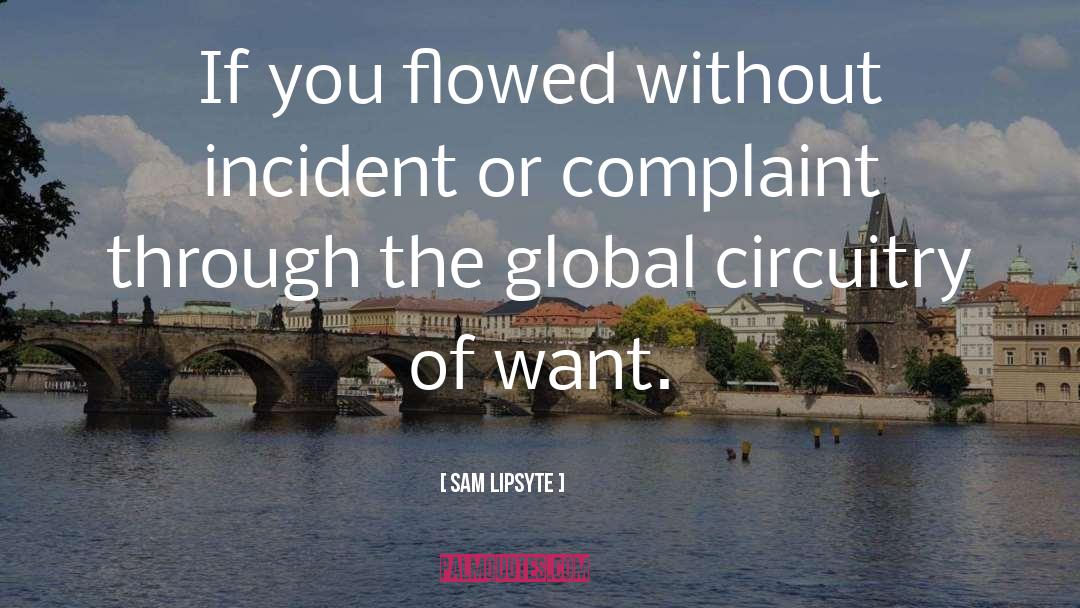 Sam Lipsyte Quotes: If you flowed without incident