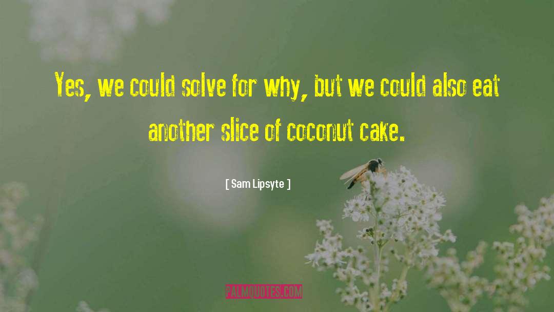 Sam Lipsyte Quotes: Yes, we could solve for