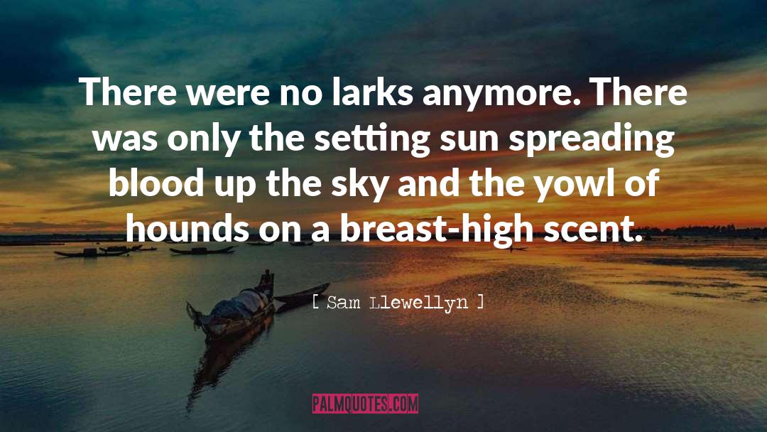 Sam Llewellyn Quotes: There were no larks anymore.