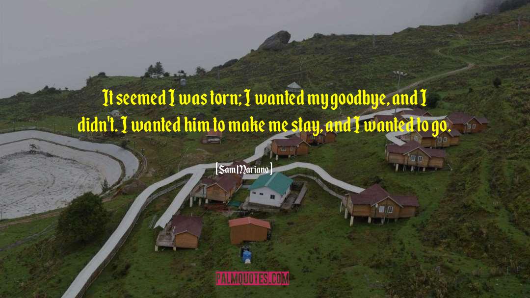 Sam Mariano Quotes: It seemed I was torn;