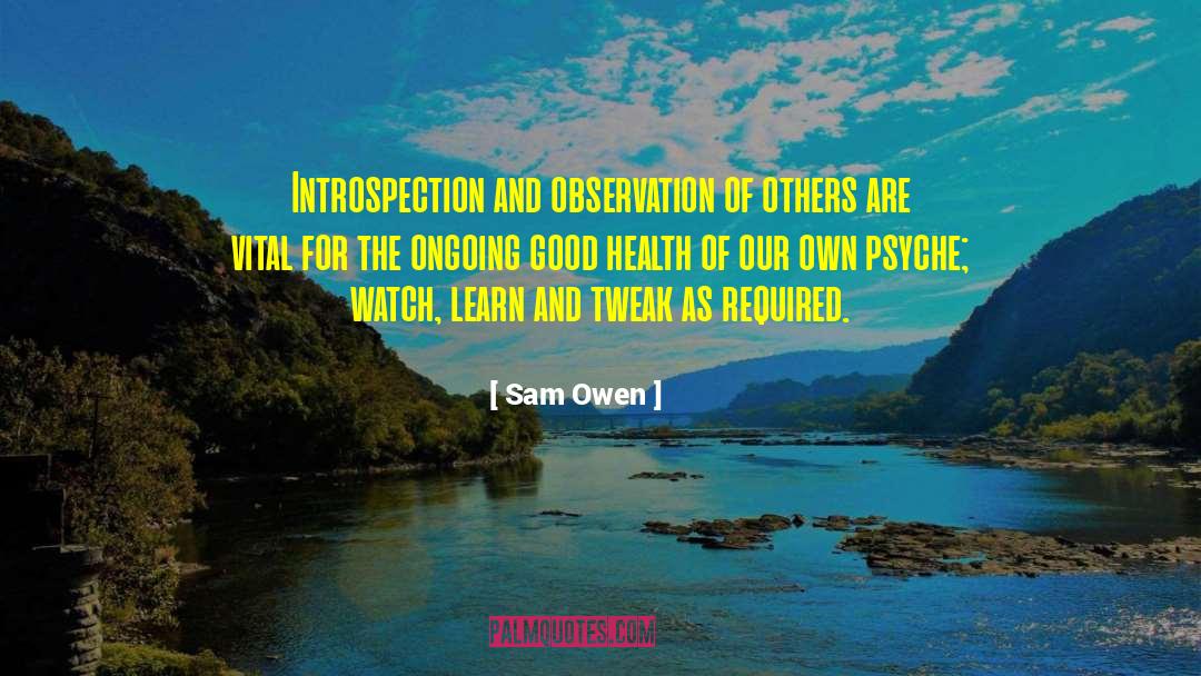 Sam Owen Quotes: Introspection and observation of others