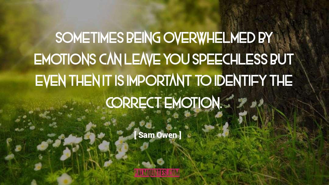 Sam Owen Quotes: Sometimes being overwhelmed by emotions