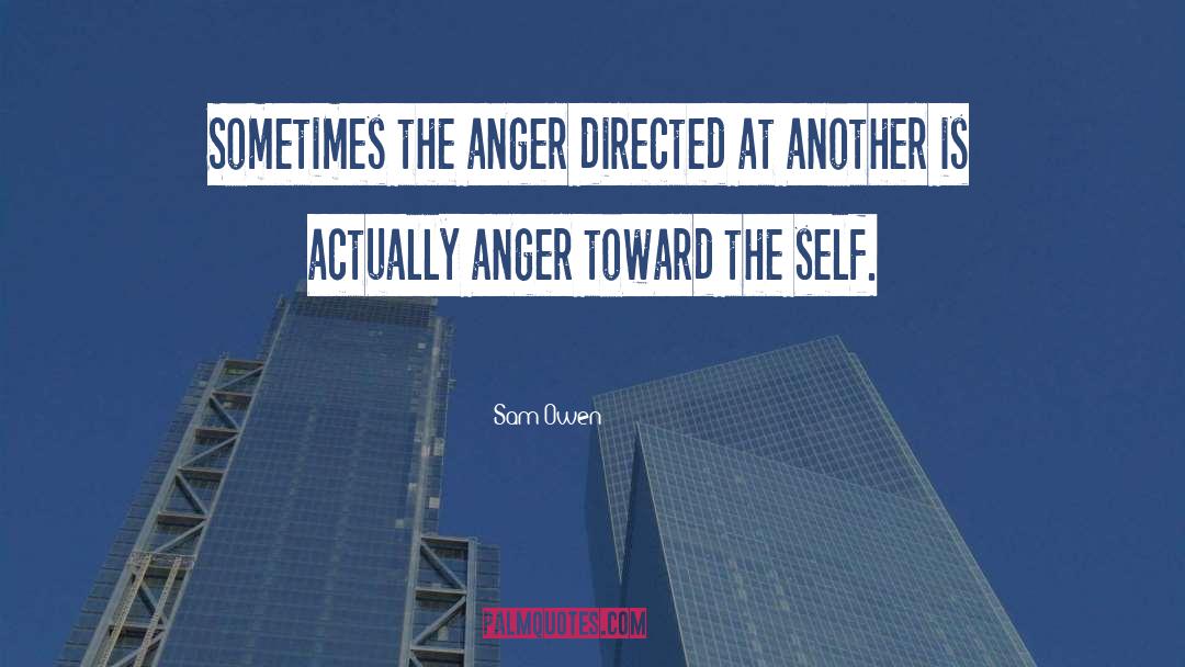 Sam Owen Quotes: Sometimes the anger directed at