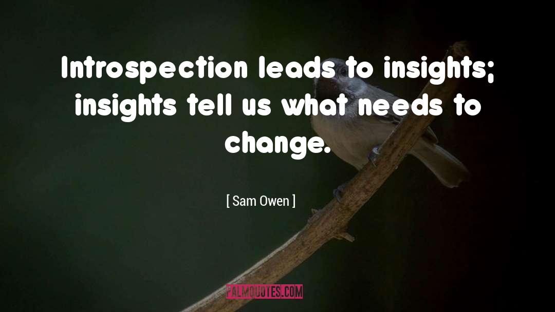 Sam Owen Quotes: Introspection leads to insights; insights