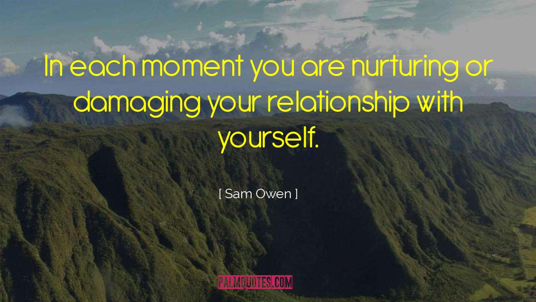 Sam Owen Quotes: In each moment you are