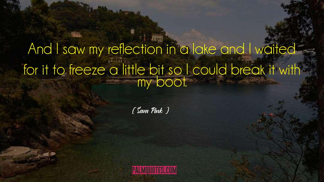 Sam Pink Quotes: And I saw my reflection