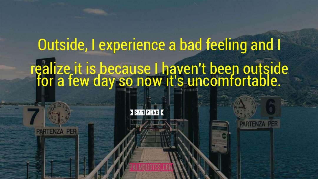 Sam Pink Quotes: Outside, I experience a bad