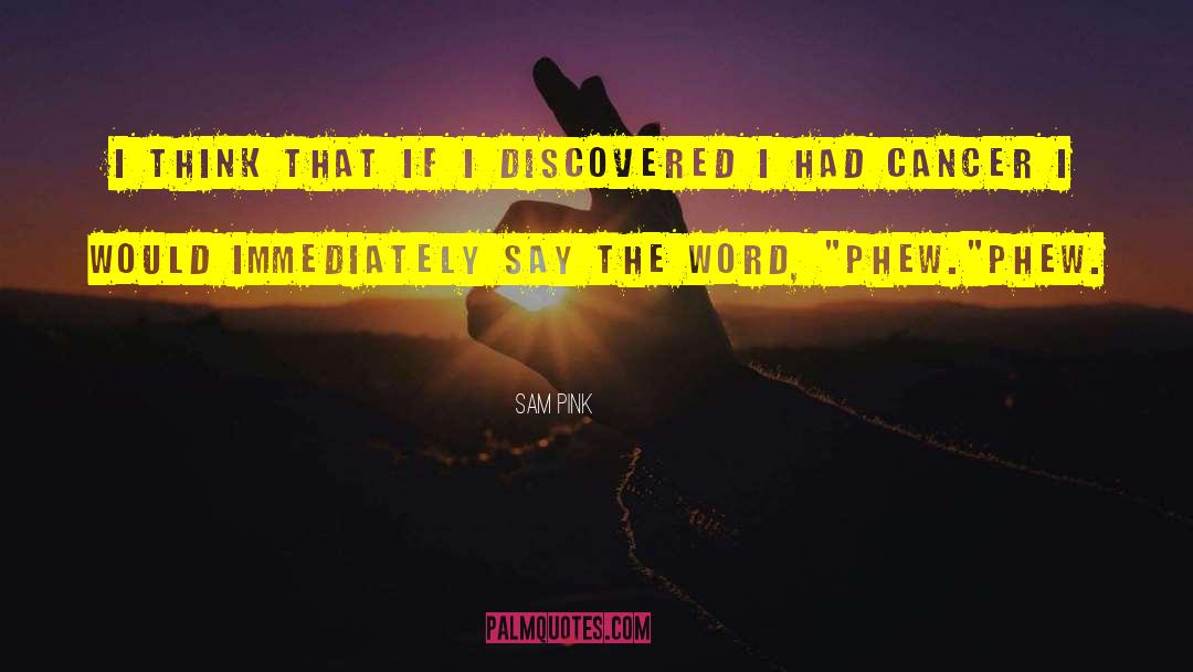 Sam Pink Quotes: I think that if I