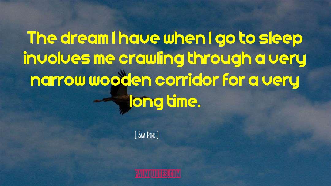 Sam Pink Quotes: The dream I have when