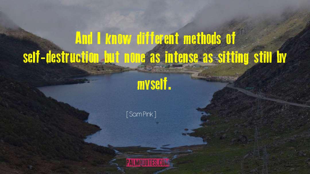 Sam Pink Quotes: And I know different methods