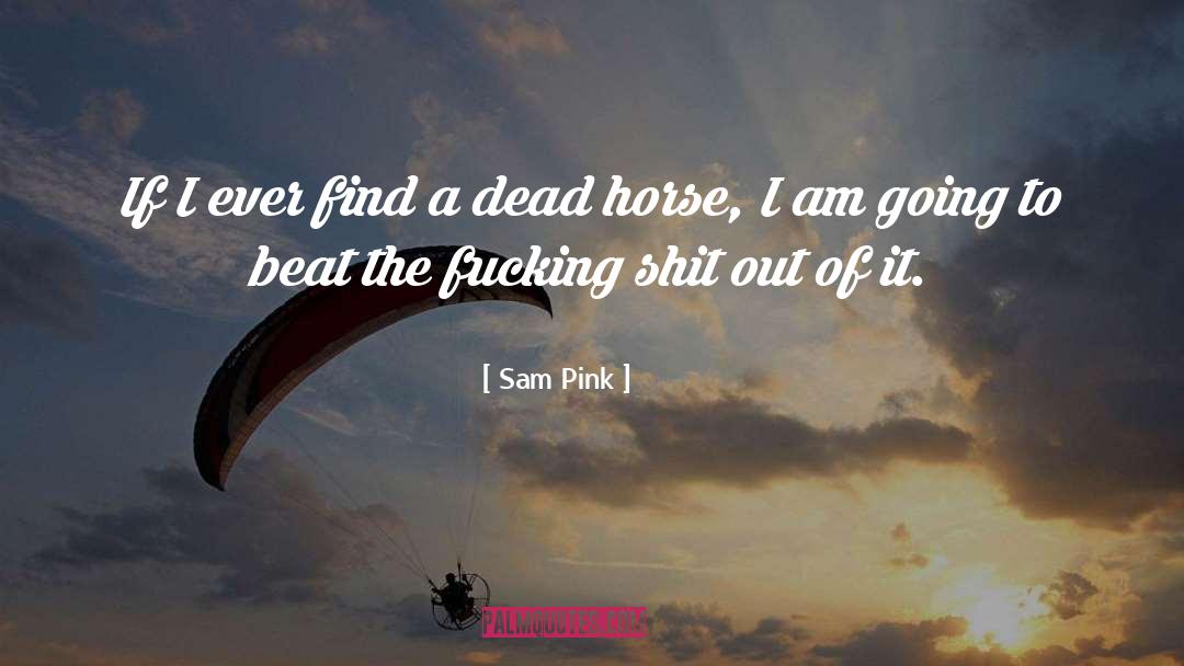 Sam Pink Quotes: If I ever find a