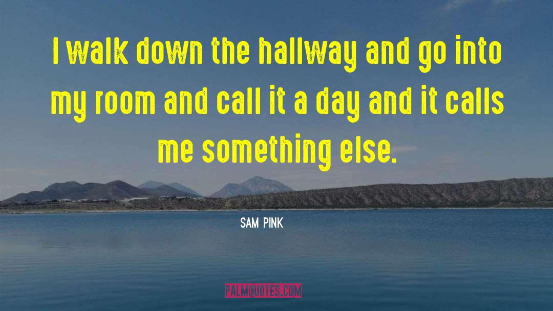Sam Pink Quotes: I walk down the hallway