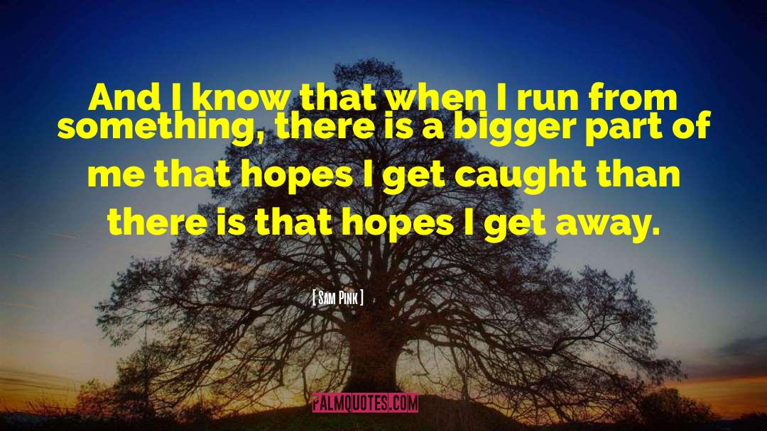 Sam Pink Quotes: And I know that when