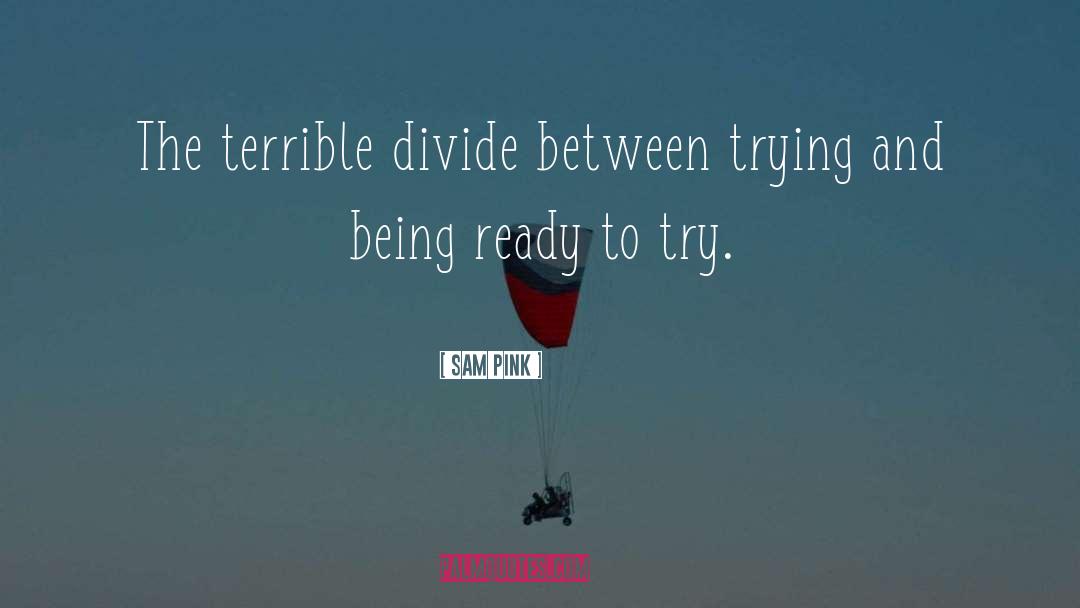 Sam Pink Quotes: The terrible divide between trying