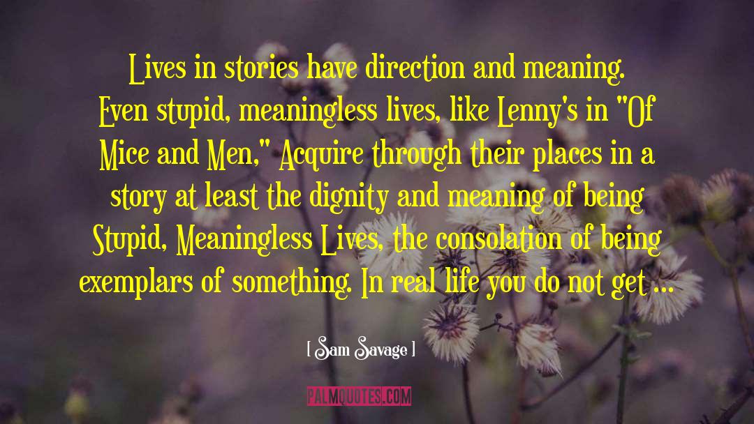 Sam Savage Quotes: Lives in stories have direction