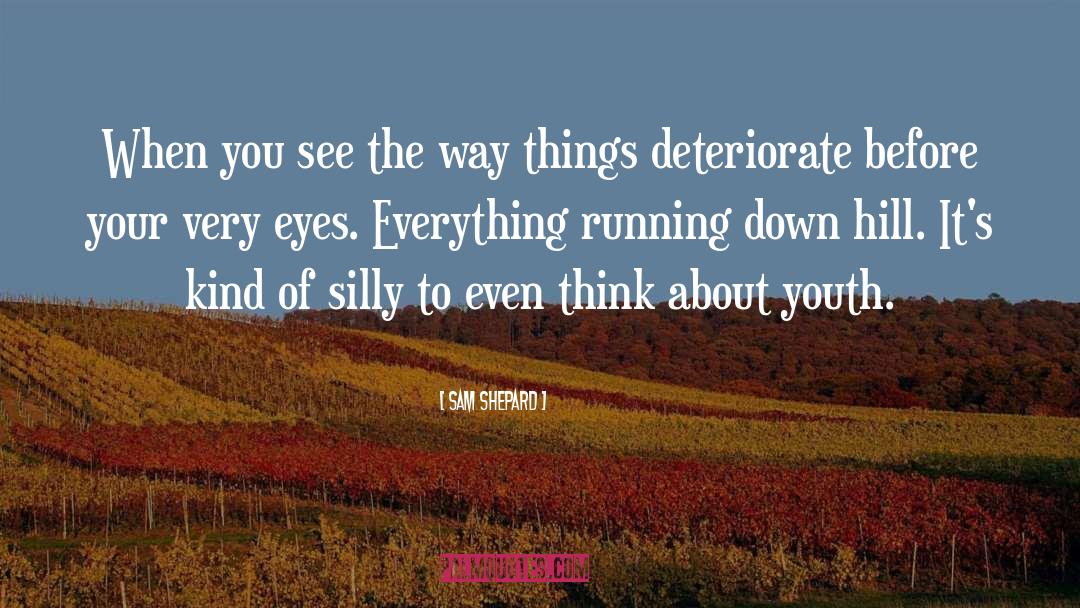 Sam Shepard Quotes: When you see the way