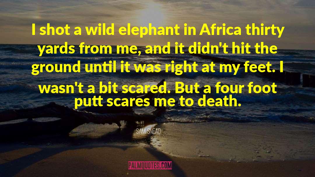 Sam Snead Quotes: I shot a wild elephant