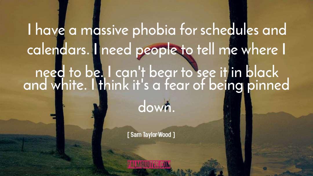 Sam Taylor-Wood Quotes: I have a massive phobia