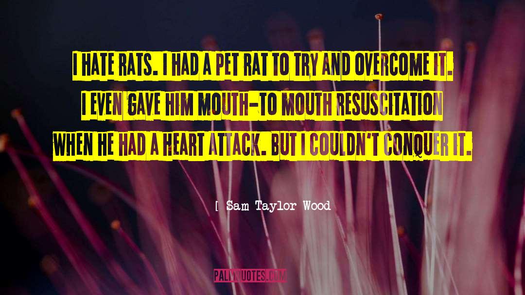 Sam Taylor-Wood Quotes: I hate rats. I had