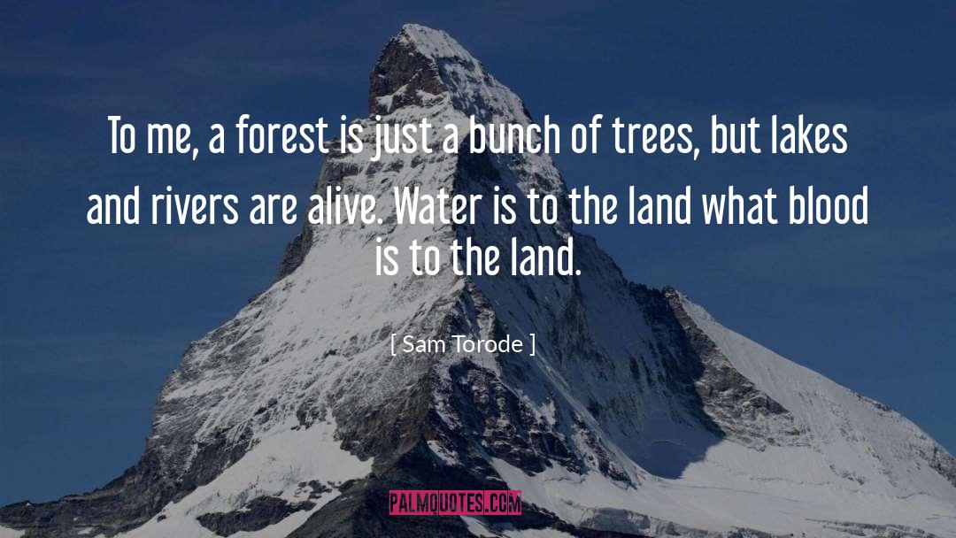Sam Torode Quotes: To me, a forest is